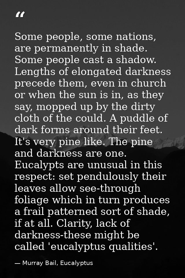 Some people, some nations, are permanently in shade. Some people cast a shadow. Lengths of elongated darkness precede th — Murray Bail, Eucalyptus