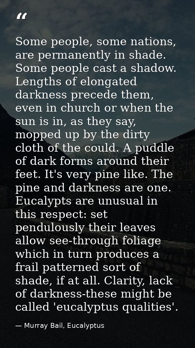 Some people, some nations, are permanently in shade. Some people cast a shadow. Lengths of elongated darkness precede th — Murray Bail, Eucalyptus