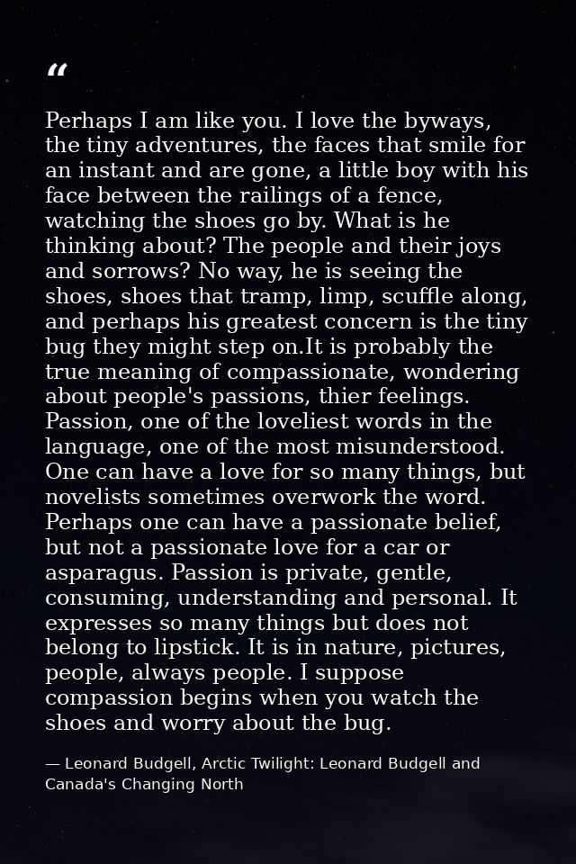 Perhaps I am like you. I love the byways, the tiny adventures, the faces that smile for an instant and are gone, a littl — Leonard Budgell, Arctic Twilight: Leonard Budgell and Canada's Changing North