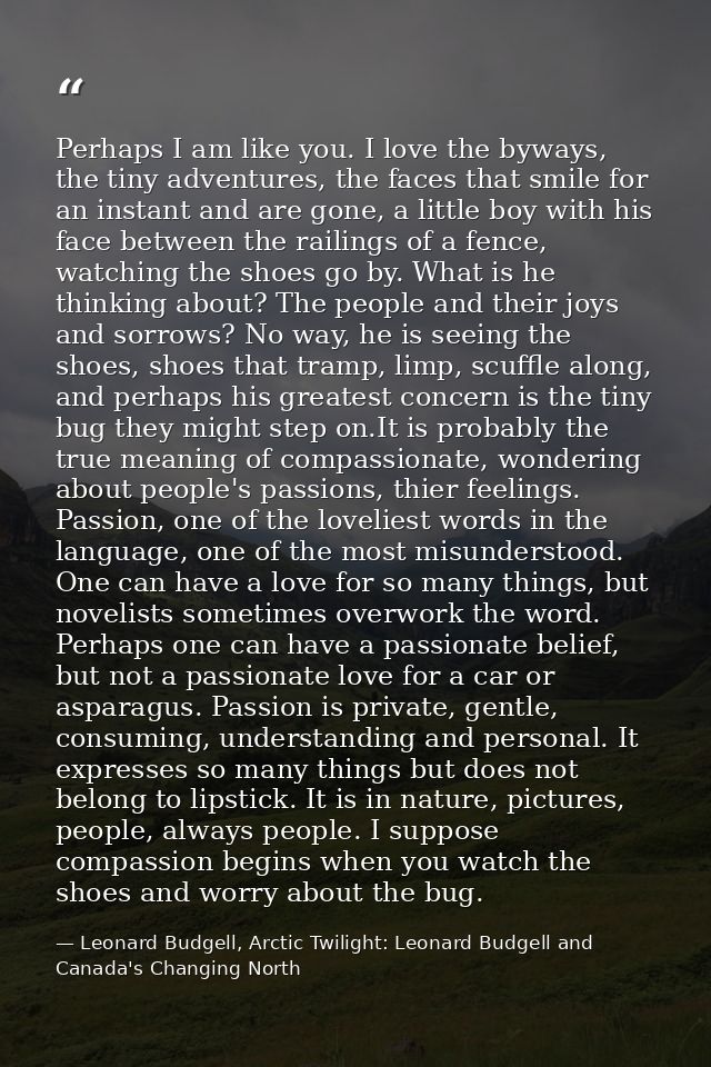 Perhaps I am like you. I love the byways, the tiny adventures, the faces that smile for an instant and are gone, a littl — Leonard Budgell, Arctic Twilight: Leonard Budgell and Canada's Changing North
