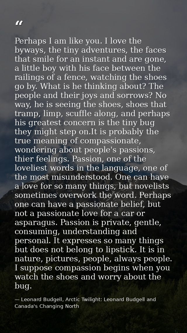 Perhaps I am like you. I love the byways, the tiny adventures, the faces that smile for an instant and are gone, a littl — Leonard Budgell, Arctic Twilight: Leonard Budgell and Canada's Changing North