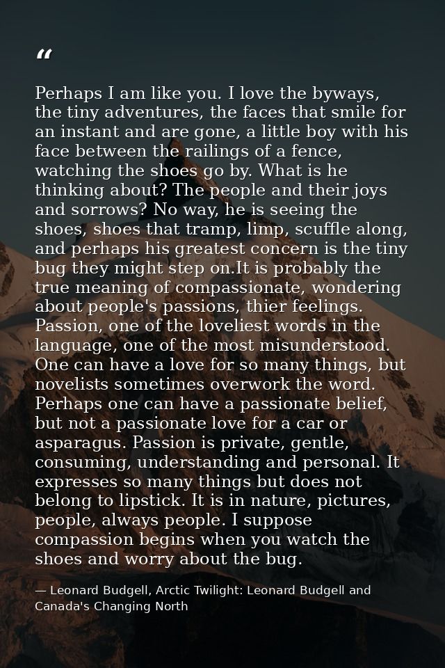 Perhaps I am like you. I love the byways, the tiny adventures, the faces that smile for an instant and are gone, a littl — Leonard Budgell, Arctic Twilight: Leonard Budgell and Canada's Changing North