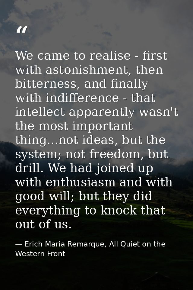 We came to realise - first with astonishment, then bitterness, and finally with indifference - that intellect apparently — Erich Maria Remarque, All Quiet on the Western Front