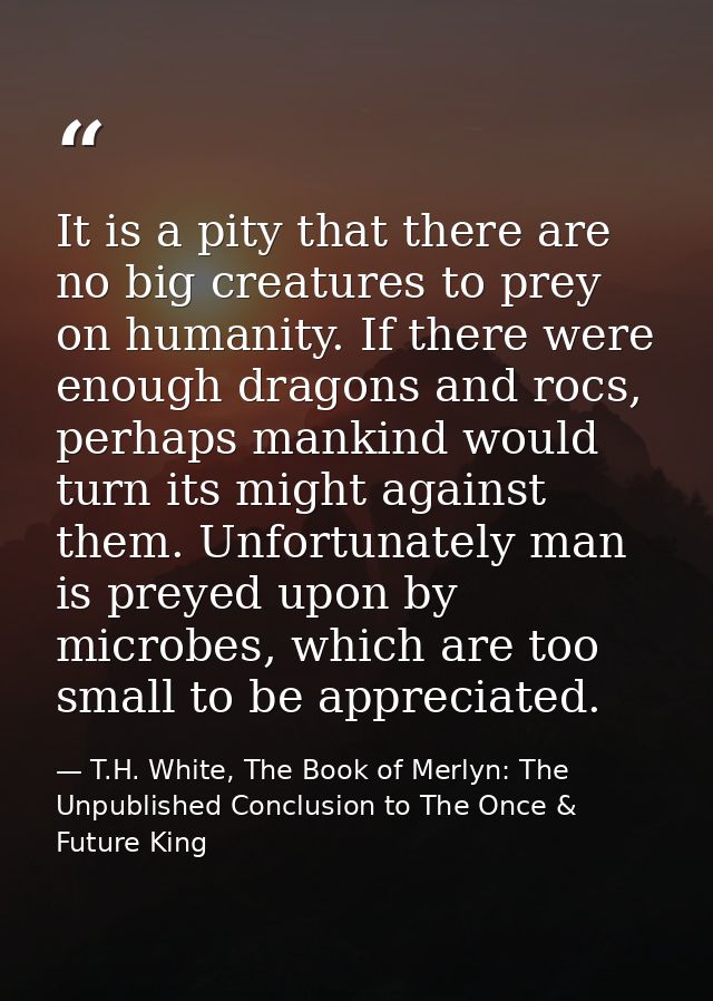 It is a pity that there are no big creatures to prey on humanity. If there were enough dragons and rocs, perhaps mankind — T.H. White, The Book of Merlyn: The Unpublished Conclusion to The Once & Future King