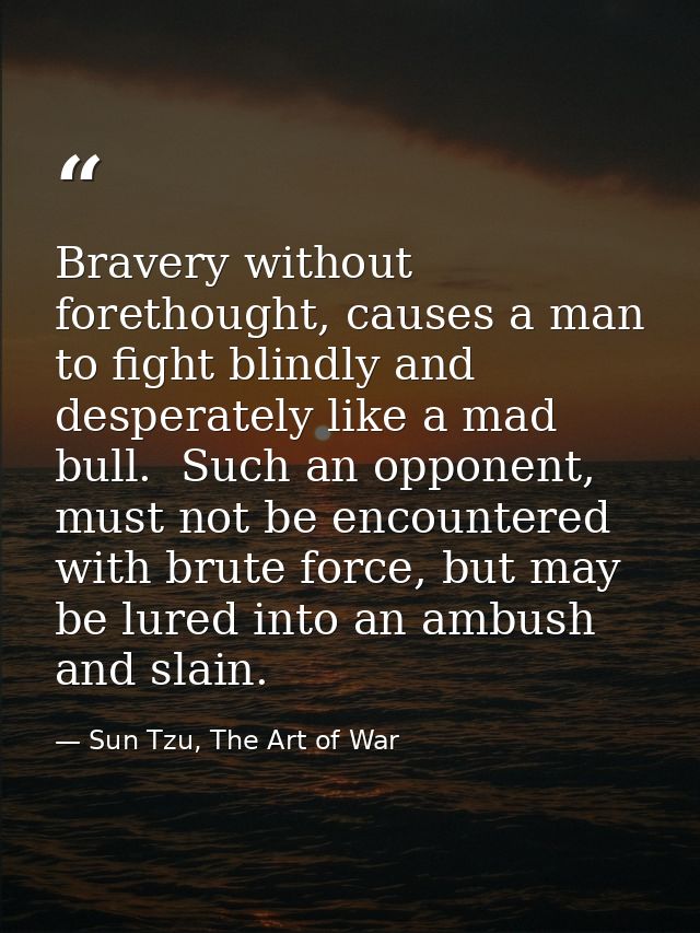 Bravery without forethought, causes a man to fight blindly and desperately like a mad bull.  Such an opponent, must not  — Sun Tzu, The Art of War