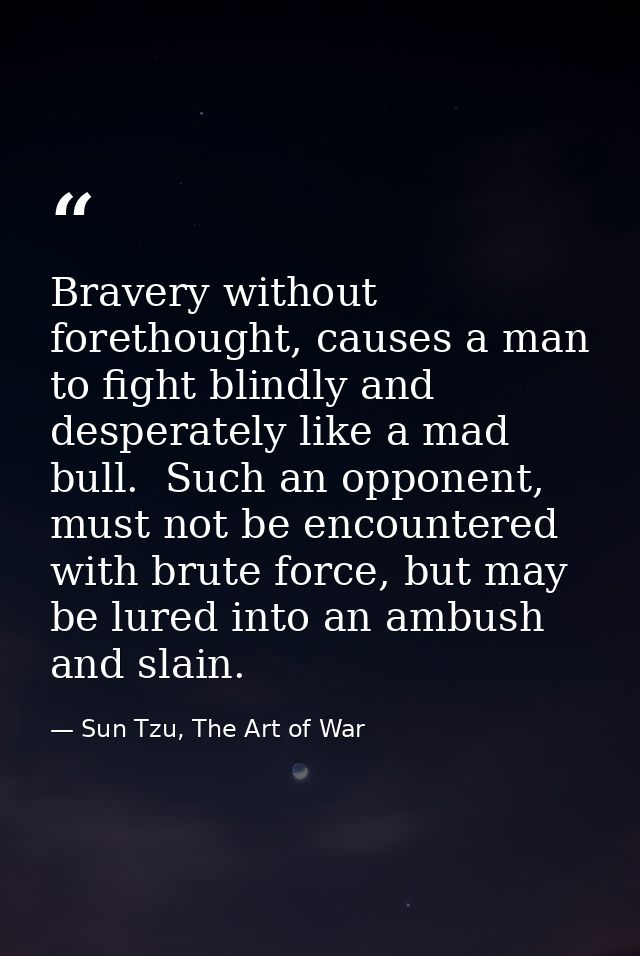 Bravery without forethought, causes a man to fight blindly and desperately like a mad bull.  Such an opponent, must not  — Sun Tzu, The Art of War