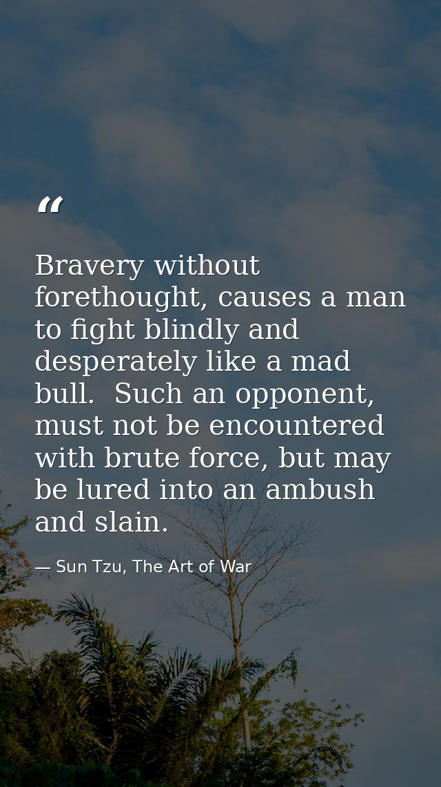 Bravery without forethought, causes a man to fight blindly and desperately like a mad bull.  Such an opponent, must not  — Sun Tzu, The Art of War