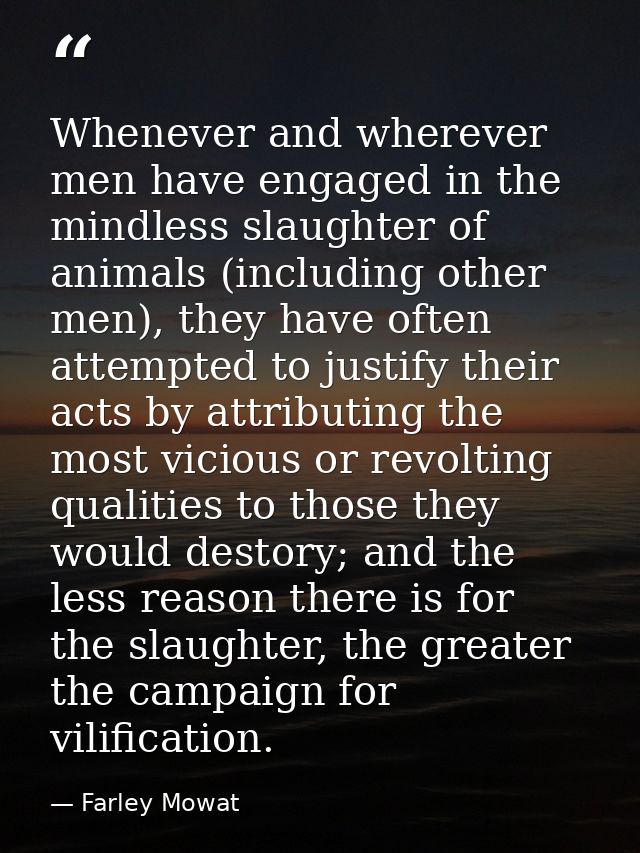 Whenever and wherever men have engaged in the mindless slaughter of animals (including other men), they have often attem — Farley Mowat