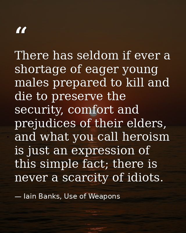 There has seldom if ever a shortage of eager young males prepared to kill and die to preserve the security, comfort and  — Iain Banks, Use of Weapons