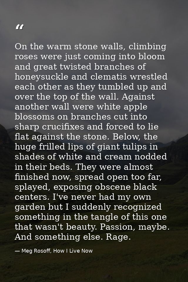 On the warm stone walls, climbing roses were just coming into bloom and great twisted branches of honeysuckle and clemat — Meg Rosoff, How I Live Now