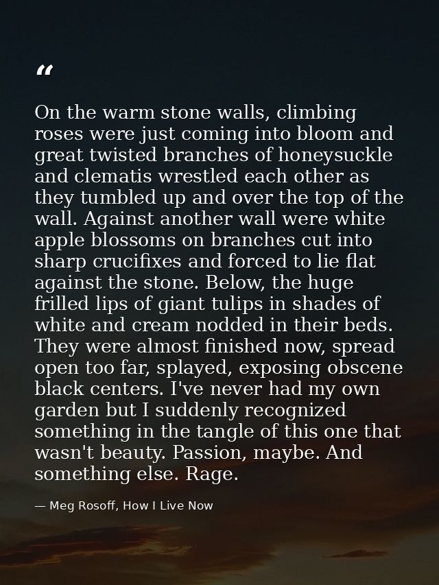 On the warm stone walls, climbing roses were just coming into bloom and great twisted branches of honeysuckle and clemat — Meg Rosoff, How I Live Now