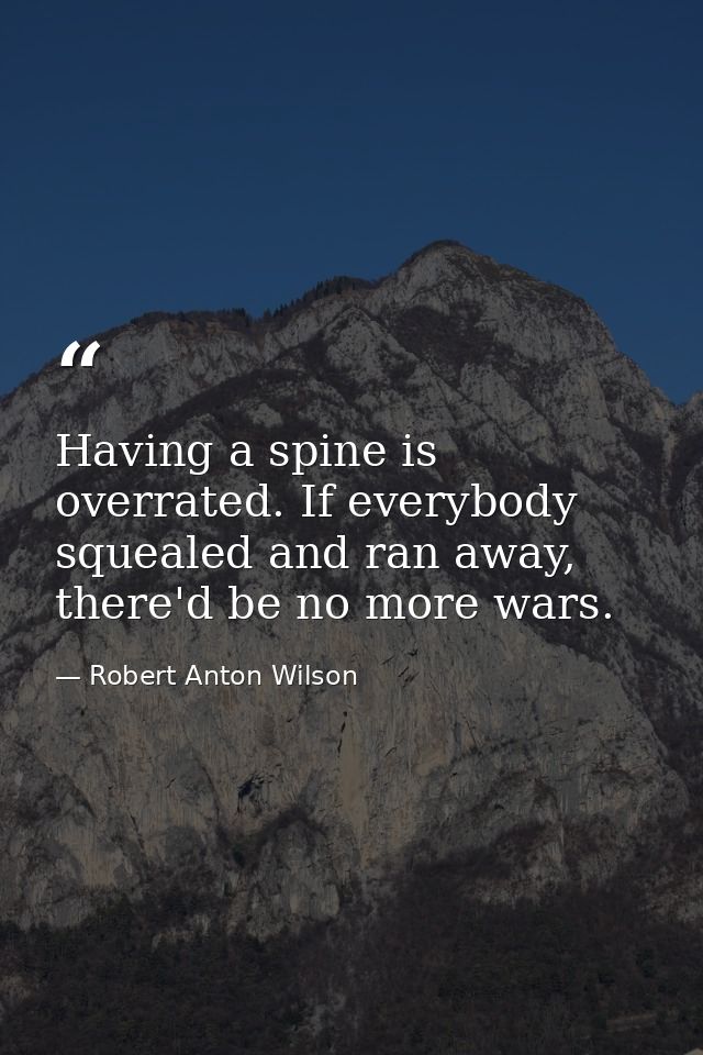 Having a spine is overrated. If everybody squealed and ran away, there'd be no more wars. — Robert Anton Wilson