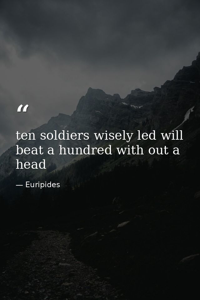 ten soldiers wisely led will beat a hundred with out a head — Euripides