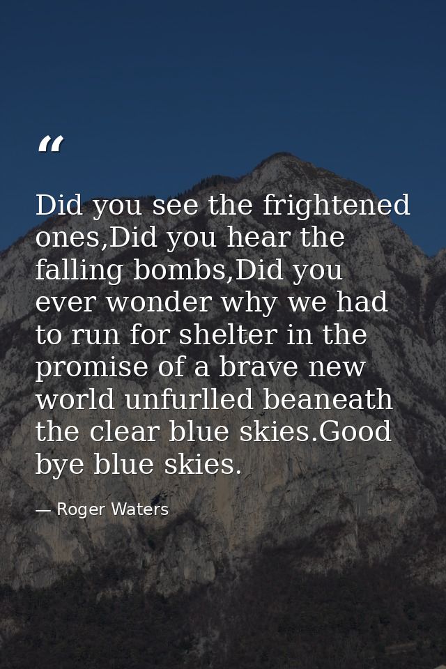 Did you see the frightened ones,Did you hear the falling bombs,Did you ever wonder why we had to run for shelter in the  — Roger Waters