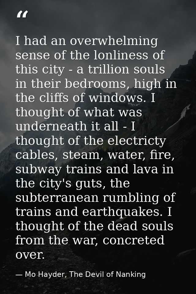 I had an overwhelming sense of the lonliness of this city - a trillion souls in their bedrooms, high in the cliffs of wi — Mo Hayder, The Devil of Nanking