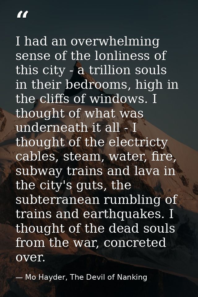 I had an overwhelming sense of the lonliness of this city - a trillion souls in their bedrooms, high in the cliffs of wi — Mo Hayder, The Devil of Nanking