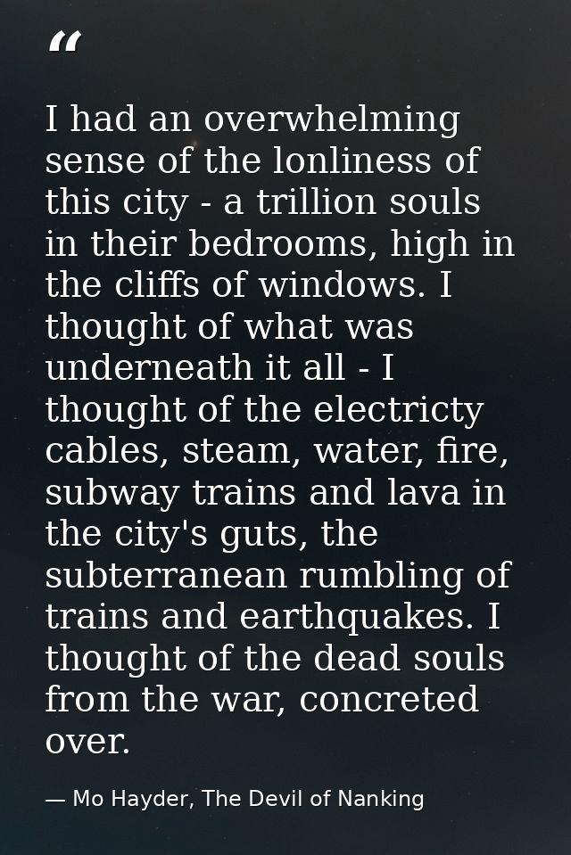 I had an overwhelming sense of the lonliness of this city - a trillion souls in their bedrooms, high in the cliffs of wi — Mo Hayder, The Devil of Nanking
