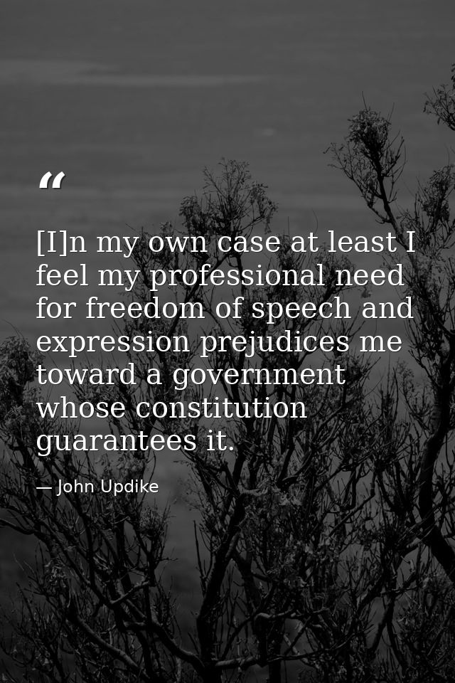 [I]n my own case at least I feel my professional need for freedom of speech and expression prejudices me toward a govern — John Updike