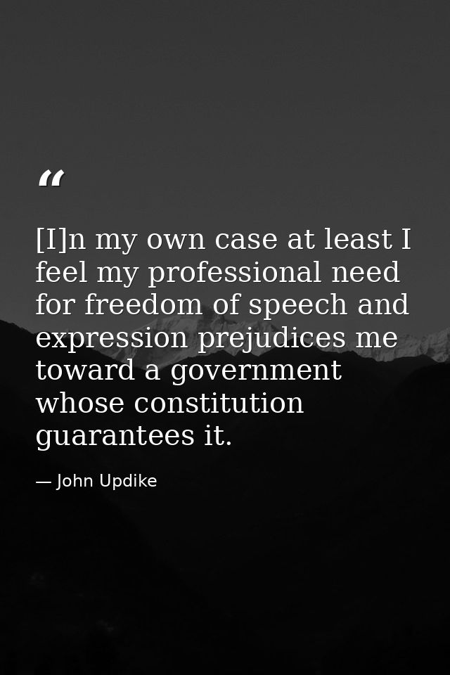 [I]n my own case at least I feel my professional need for freedom of speech and expression prejudices me toward a govern — John Updike