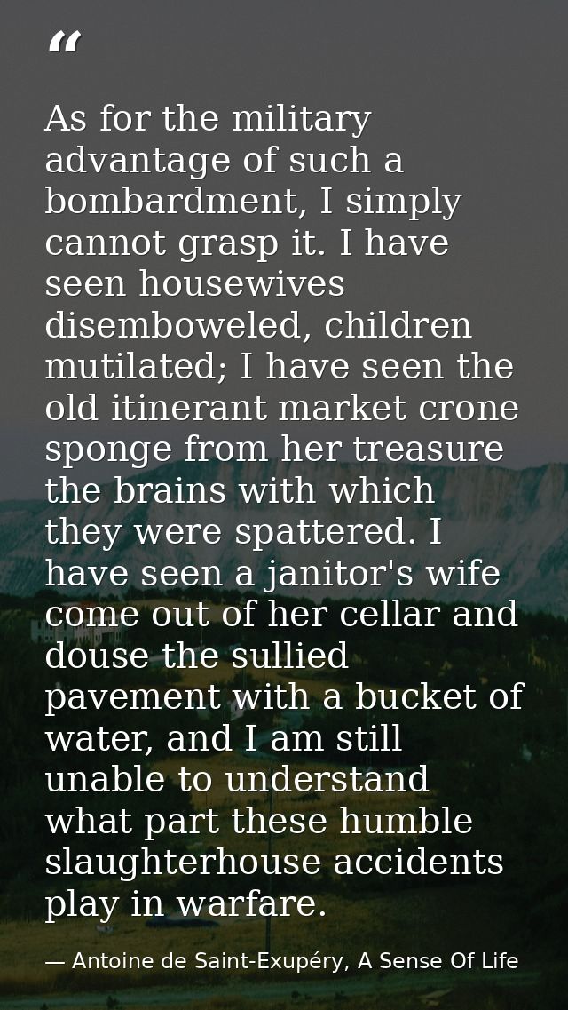 As for the military advantage of such a bombardment, I simply cannot grasp it. I have seen housewives disemboweled, chil — Antoine de Saint-Exupéry, A Sense Of Life