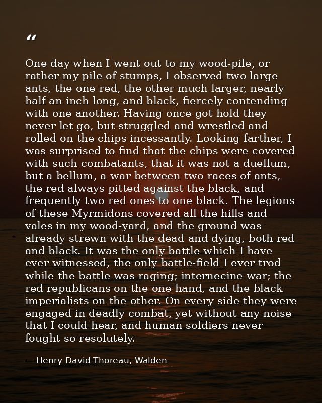 One day when I went out to my wood-pile, or rather my pile of stumps, I observed two large ants, the one red, the other  — Henry David Thoreau, Walden