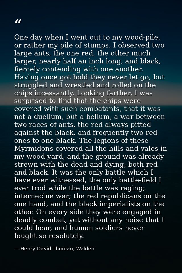 One day when I went out to my wood-pile, or rather my pile of stumps, I observed two large ants, the one red, the other  — Henry David Thoreau, Walden
