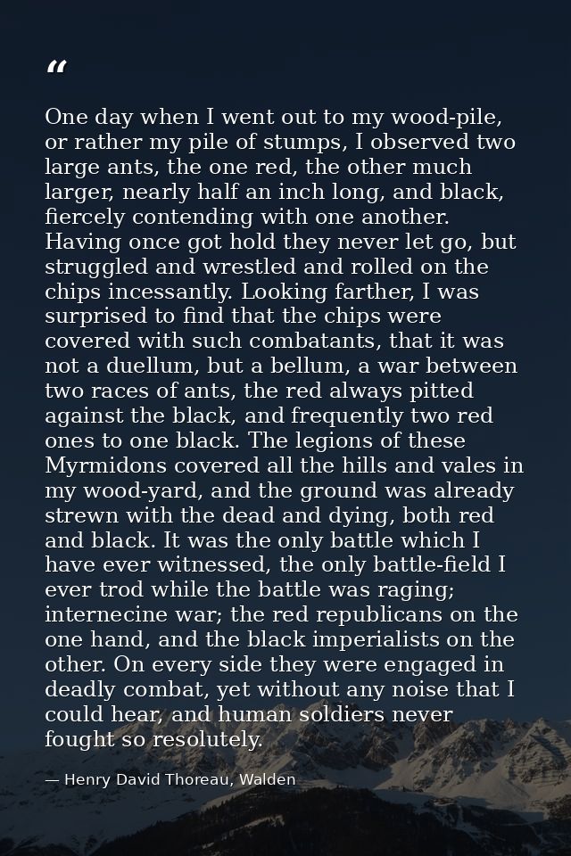One day when I went out to my wood-pile, or rather my pile of stumps, I observed two large ants, the one red, the other  — Henry David Thoreau, Walden