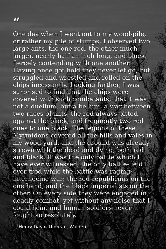 One day when I went out to my wood-pile, or rather my pile of stumps, I observed two large ants, the one red, the other  — Henry David Thoreau, Walden