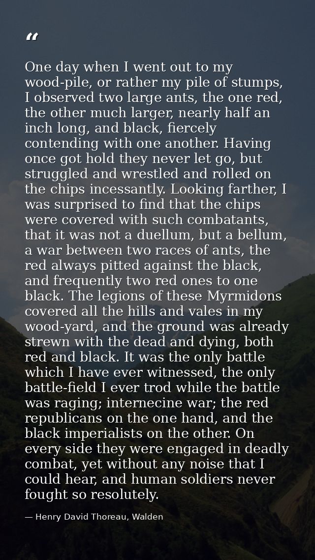One day when I went out to my wood-pile, or rather my pile of stumps, I observed two large ants, the one red, the other  — Henry David Thoreau, Walden