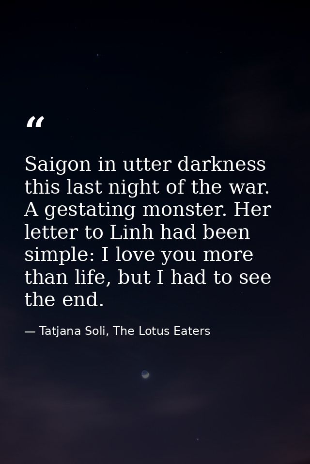 Saigon in utter darkness this last night of the war. A gestating monster. Her letter to Linh had been simple: I love you — Tatjana Soli, The Lotus Eaters