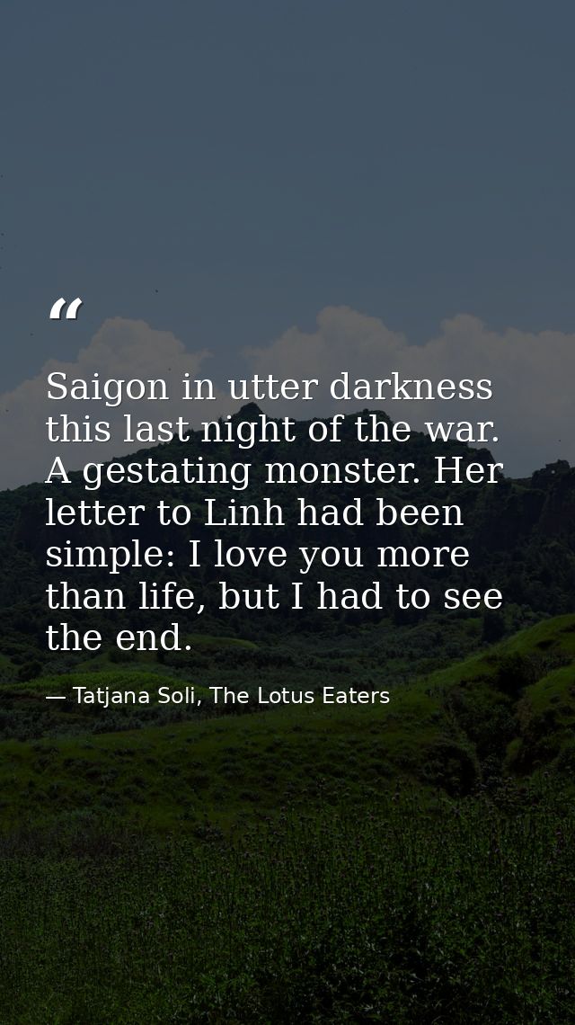 Saigon in utter darkness this last night of the war. A gestating monster. Her letter to Linh had been simple: I love you — Tatjana Soli, The Lotus Eaters