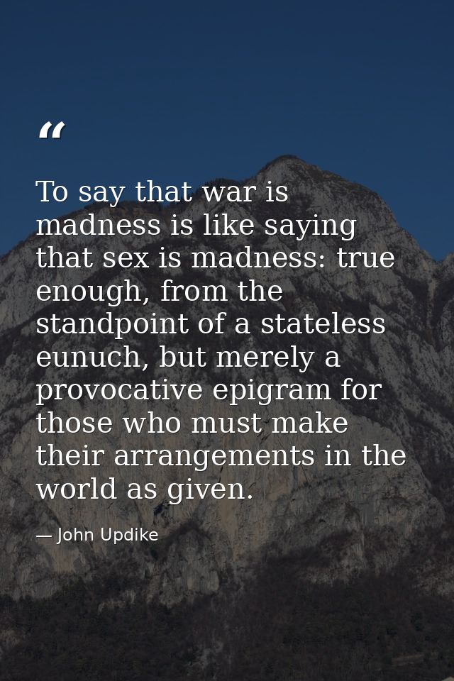 To say that war is madness is like saying that sex is madness: true enough, from the standpoint of a stateless eunuch, b — John Updike