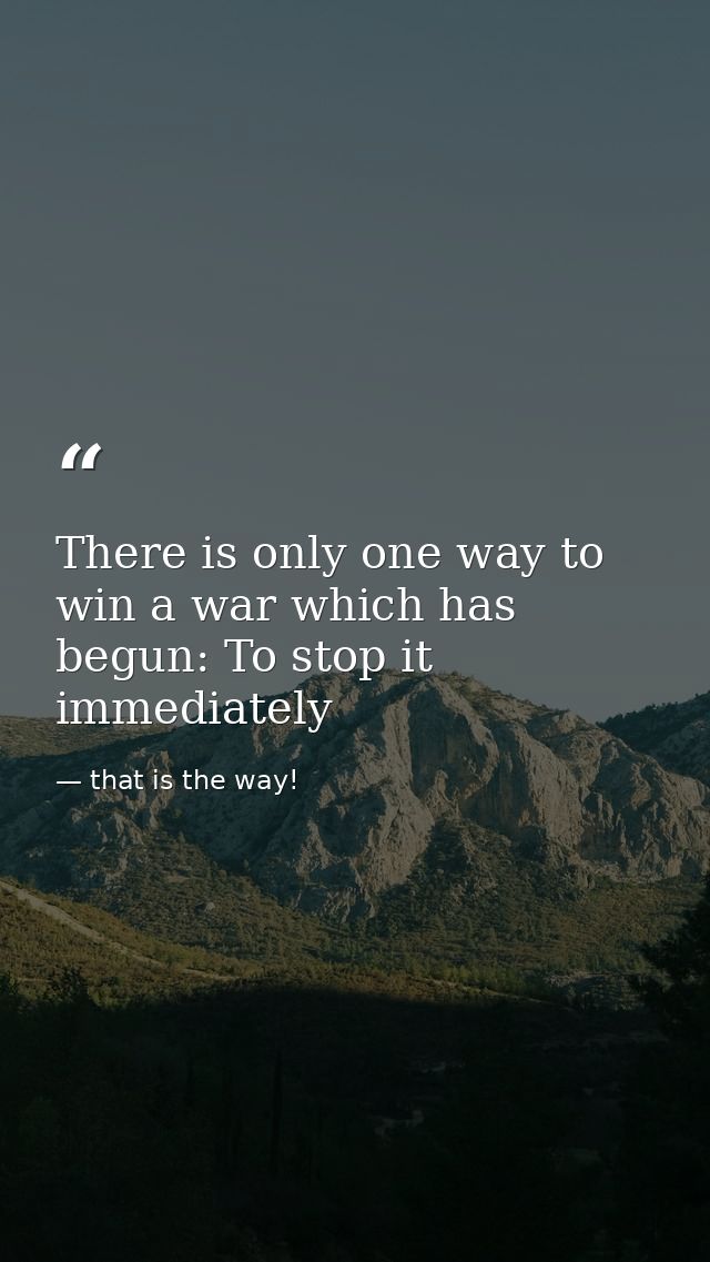 There is only one way to win a war which has begun: To stop it immediately — that is the way!
