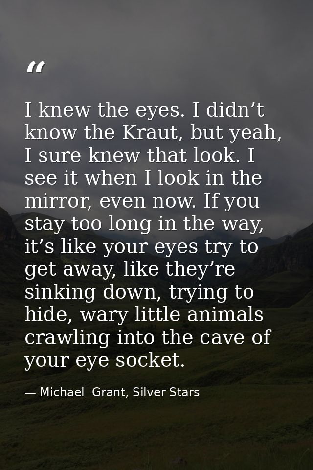 I knew the eyes. I didn’t know the Kraut, but yeah, I sure knew that look. I see it when I look in the mirror, even now. — Michael  Grant, Silver Stars