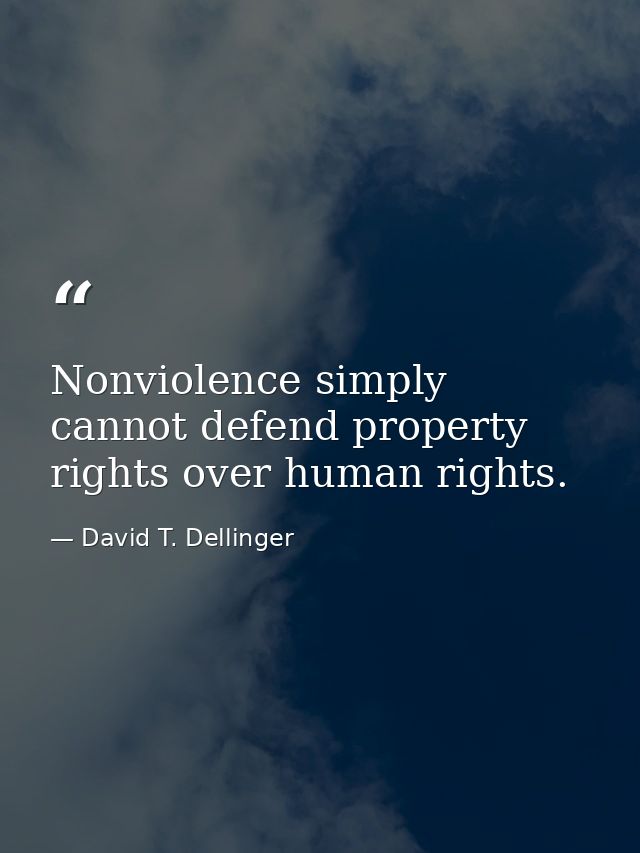 Nonviolence simply cannot defend property rights over human rights. — David T. Dellinger