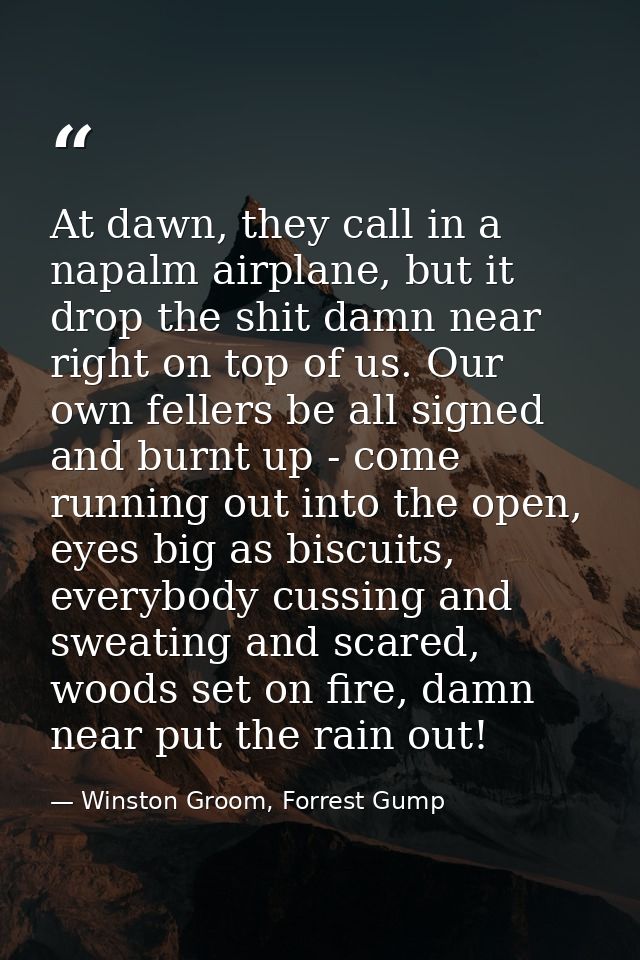 At dawn, they call in a napalm airplane, but it drop the shit damn near right on top of us. Our own fellers be all signe — Winston Groom, Forrest Gump