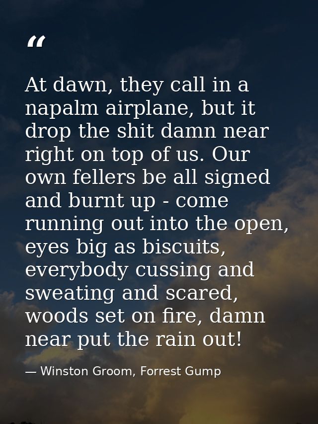 At dawn, they call in a napalm airplane, but it drop the shit damn near right on top of us. Our own fellers be all signe — Winston Groom, Forrest Gump