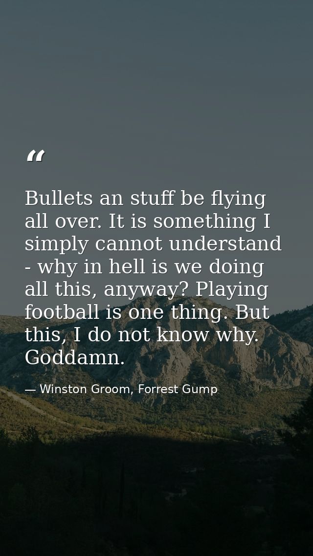 Bullets an stuff be flying all over. It is something I simply cannot understand - why in hell is we doing all this, anyw — Winston Groom, Forrest Gump