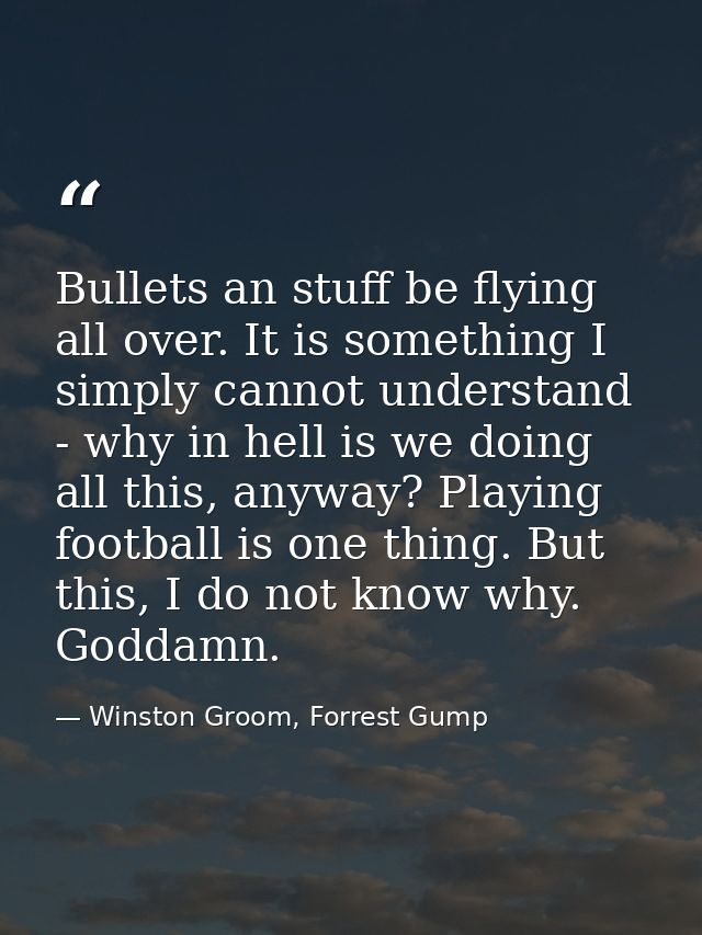 Bullets an stuff be flying all over. It is something I simply cannot understand - why in hell is we doing all this, anyw — Winston Groom, Forrest Gump