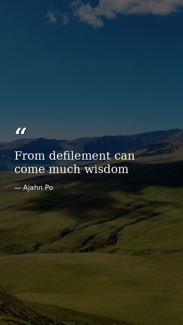 From defilement can come much wisdom — Ajahn Po
