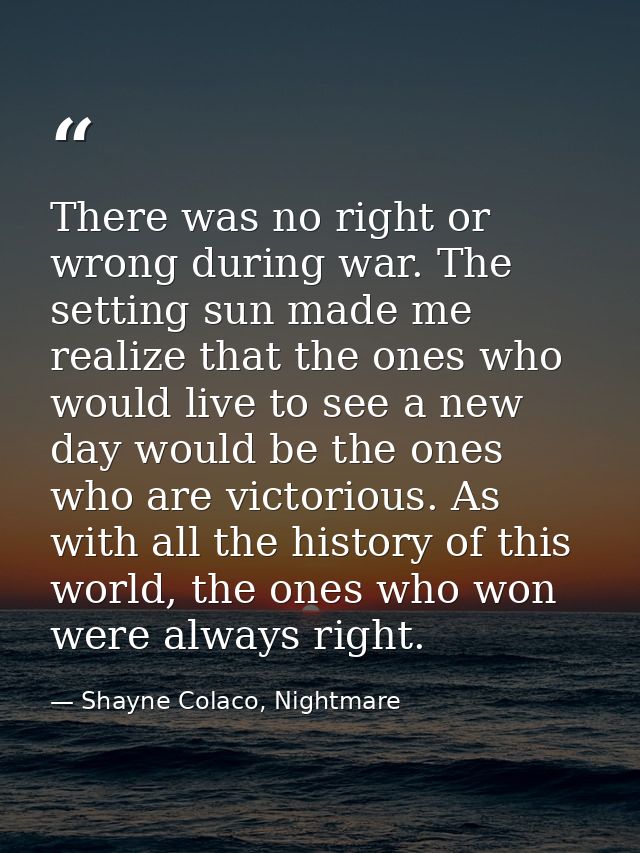 There was no right or wrong during war. The setting sun made me realize that the ones who would live to see a new day wo — Shayne Colaco, Nightmare