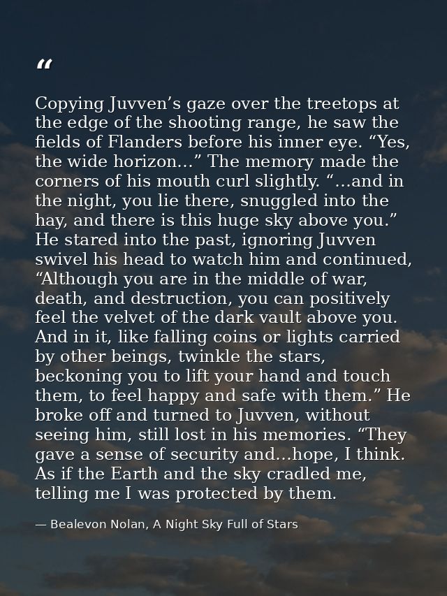 Copying Juvven’s gaze over the treetops at the edge of the shooting range, he saw the fields of Flanders before his inne — Bealevon Nolan, A Night Sky Full of Stars