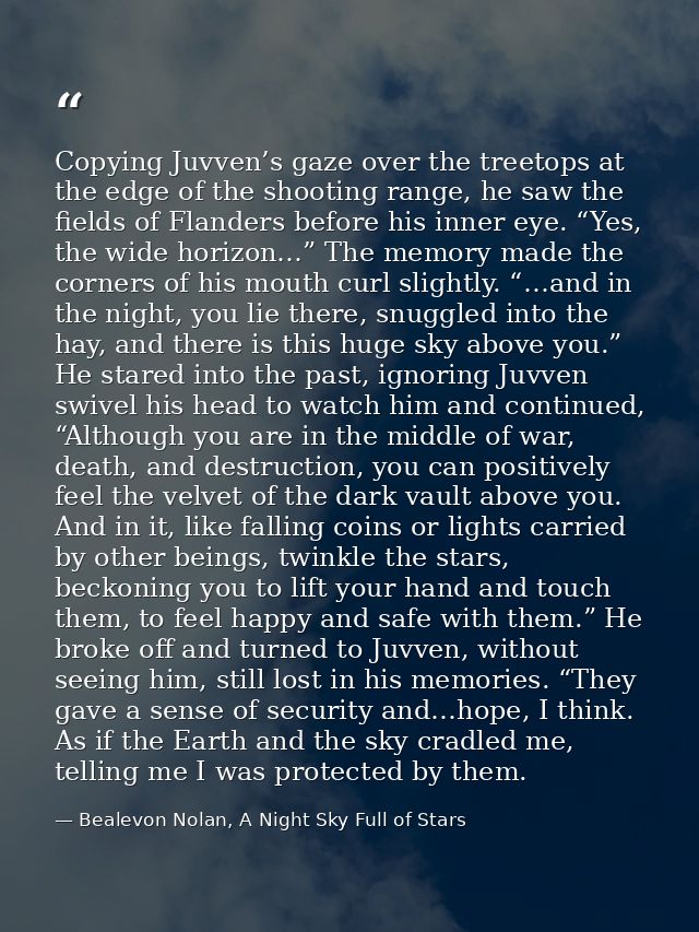 Copying Juvven’s gaze over the treetops at the edge of the shooting range, he saw the fields of Flanders before his inne — Bealevon Nolan, A Night Sky Full of Stars