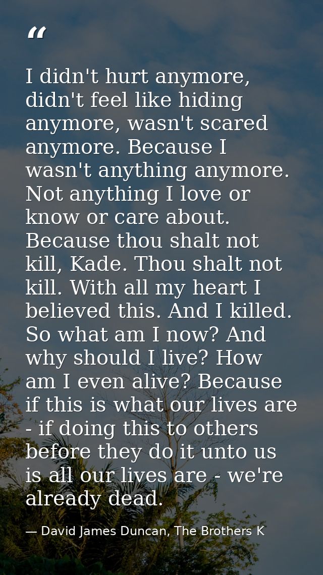 I didn't hurt anymore, didn't feel like hiding anymore, wasn't scared anymore. Because I wasn't anything anymore. Not an — David James Duncan, The Brothers K