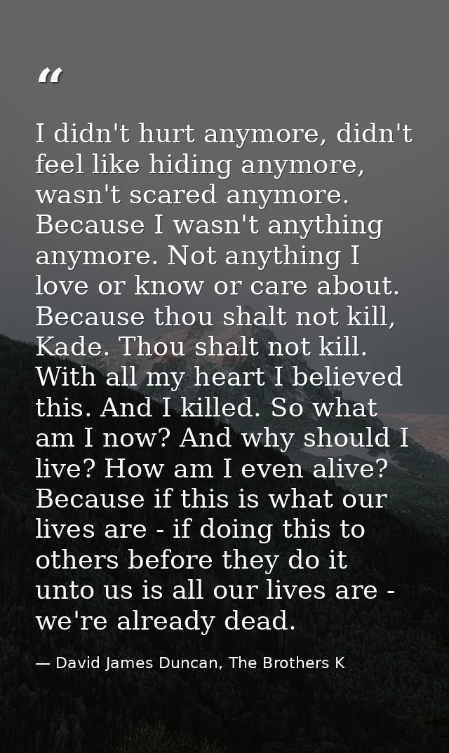I didn't hurt anymore, didn't feel like hiding anymore, wasn't scared anymore. Because I wasn't anything anymore. Not an — David James Duncan, The Brothers K