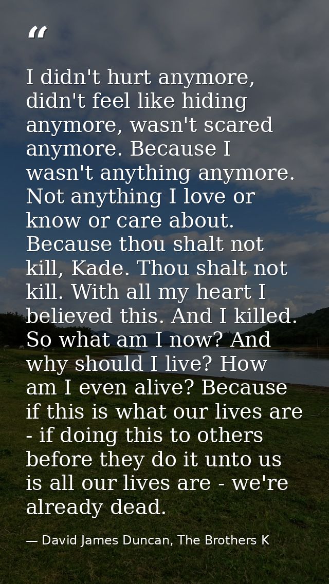 I didn't hurt anymore, didn't feel like hiding anymore, wasn't scared anymore. Because I wasn't anything anymore. Not an — David James Duncan, The Brothers K