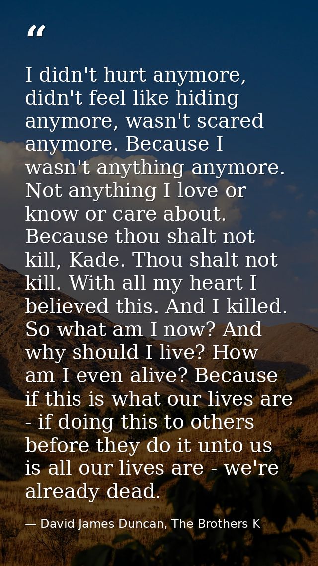 I didn't hurt anymore, didn't feel like hiding anymore, wasn't scared anymore. Because I wasn't anything anymore. Not an — David James Duncan, The Brothers K