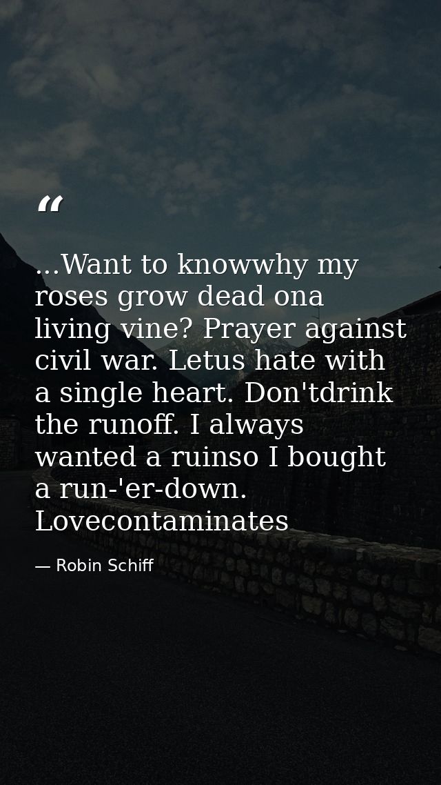 ...Want to knowwhy my roses grow dead ona living vine? Prayer against civil war. Letus hate with a single heart. Don'tdr — Robin Schiff