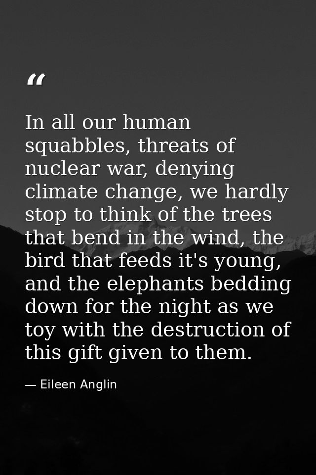 In all our human squabbles, threats of nuclear war, denying climate change, we hardly stop to think of the trees that be — Eileen Anglin