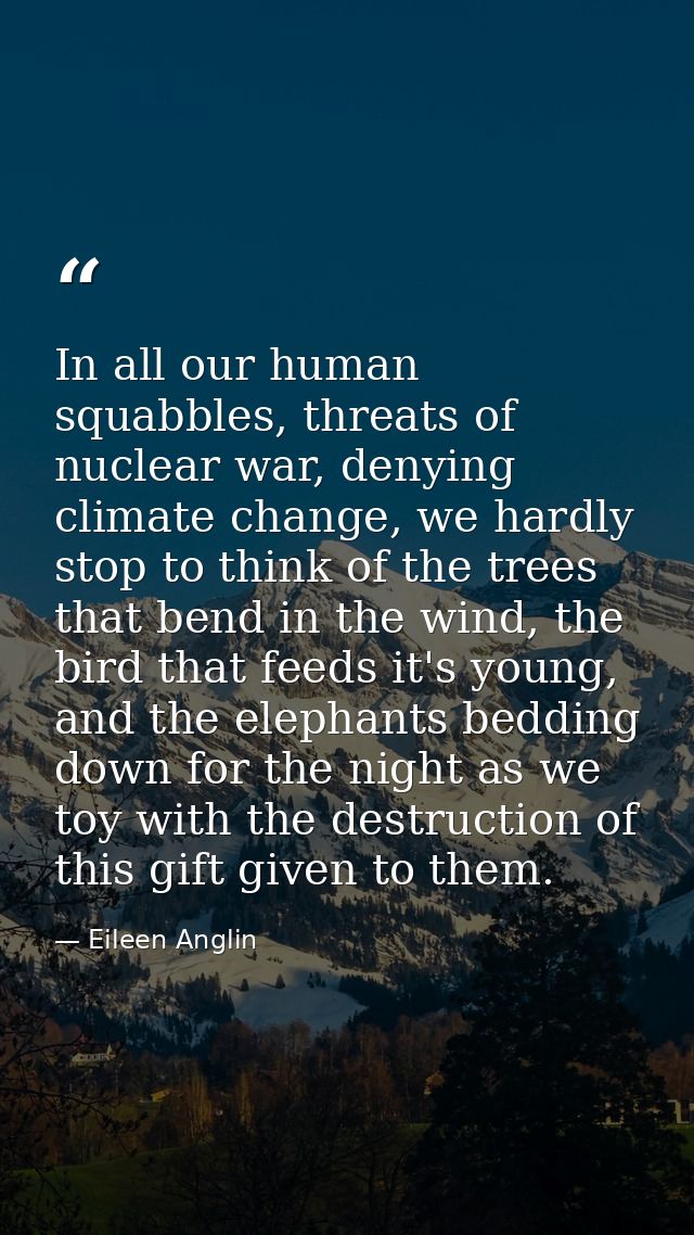 In all our human squabbles, threats of nuclear war, denying climate change, we hardly stop to think of the trees that be — Eileen Anglin
